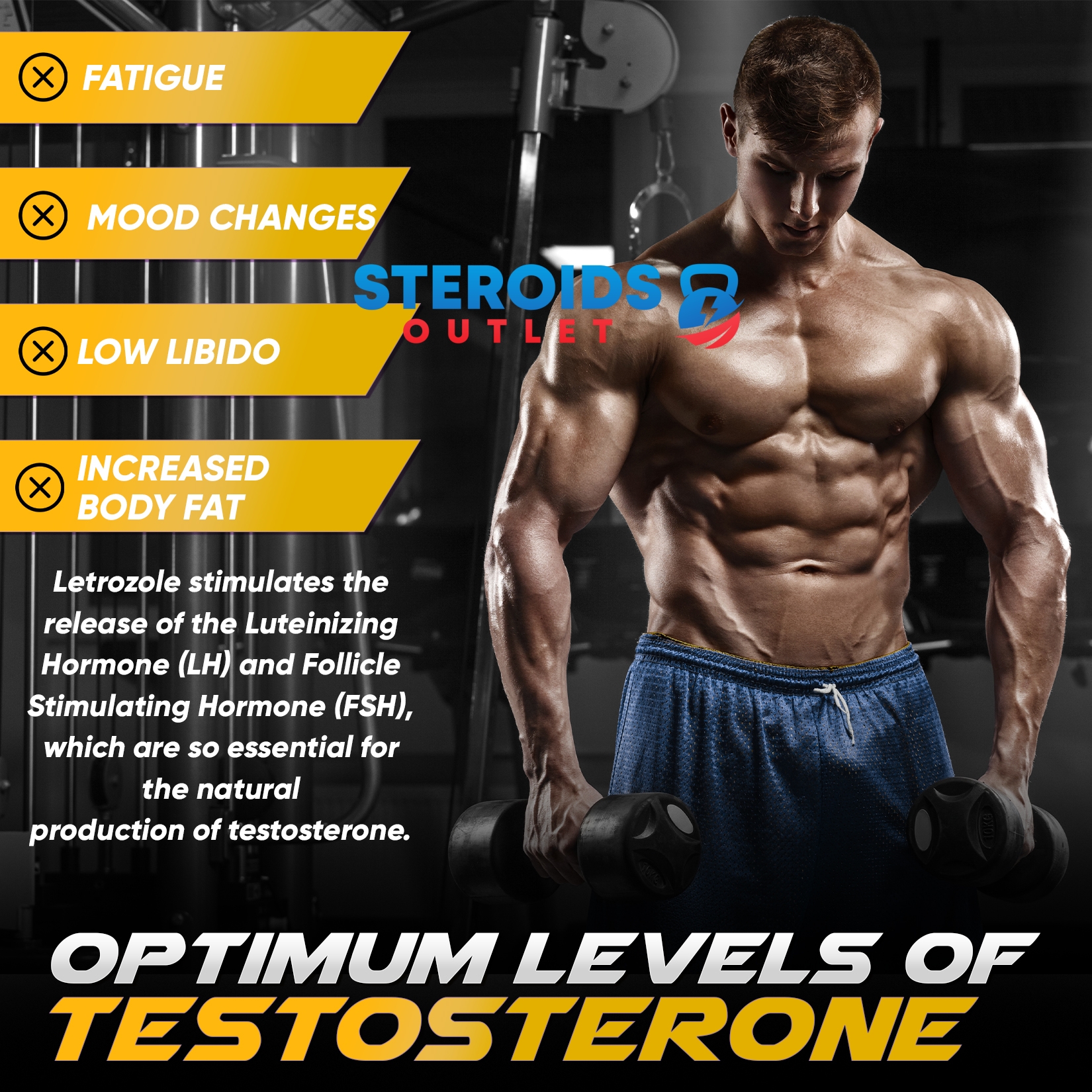 Buy Letrozole 5 Letrozole2
